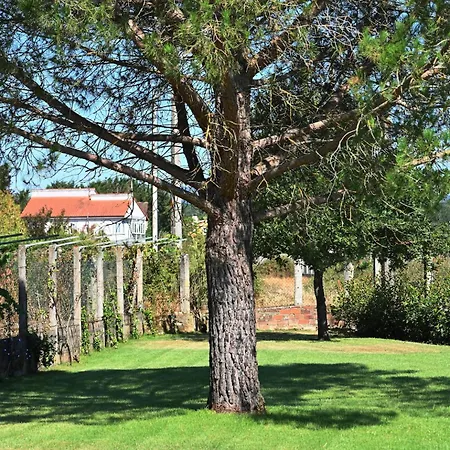 Casa Boutique Vistacastelo * Monforte De Lemos
